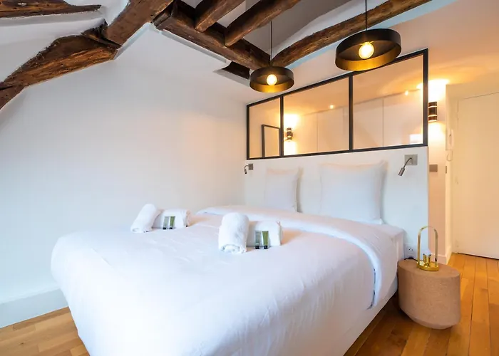 Rooftops Of L Opera - Madeleine Paris